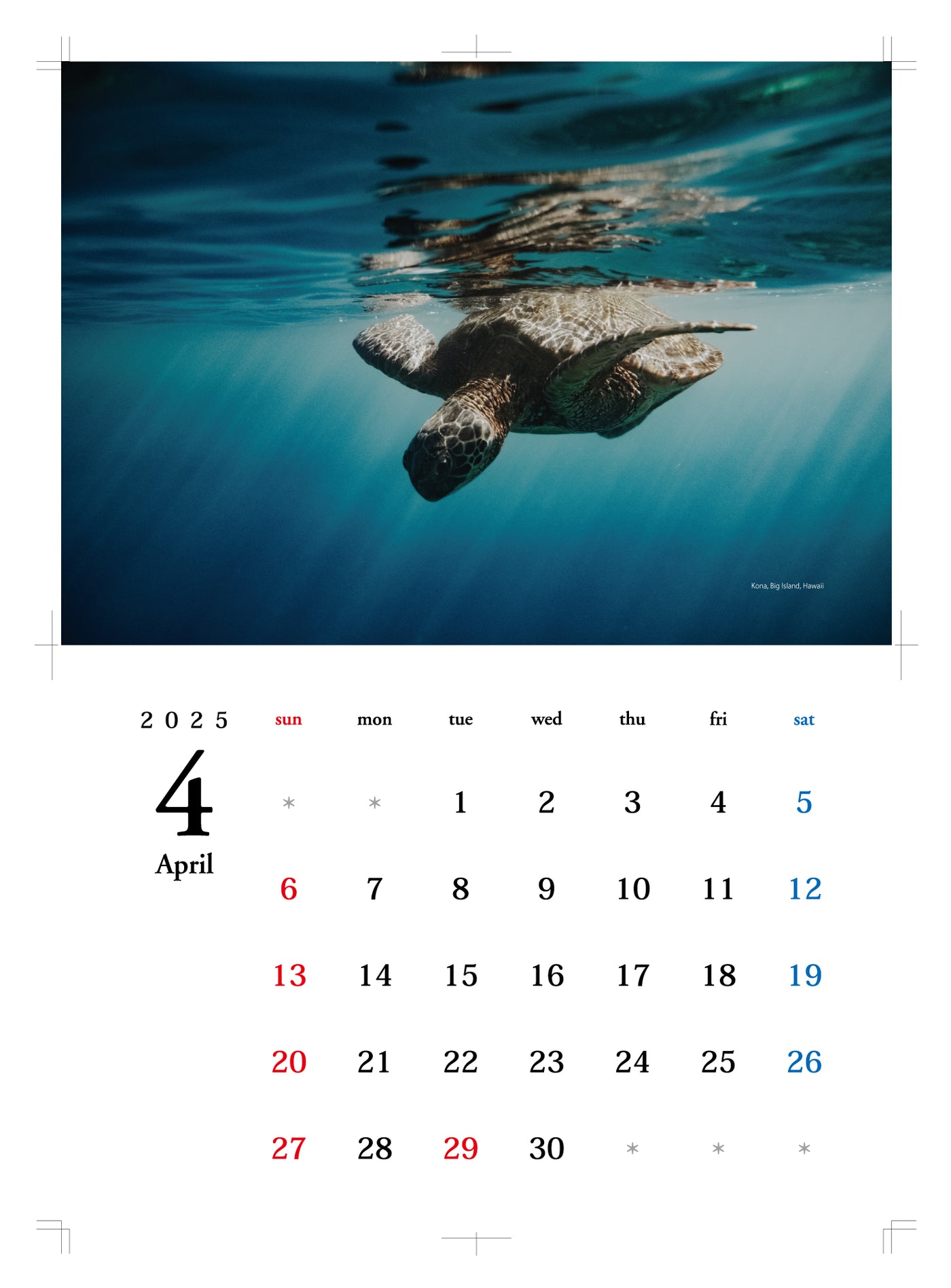 【2025】CALENDAR by Photographer ATSUSHI SUGIMOTO