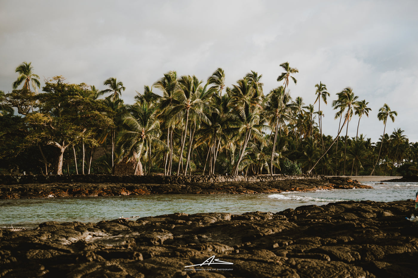 Lava & Coconuts Trees - Two Step Beach, Big Island, Hawaii