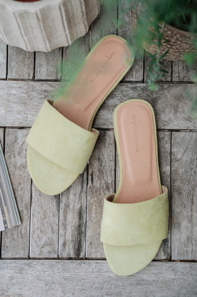 Suede Flats Sandals / 2color