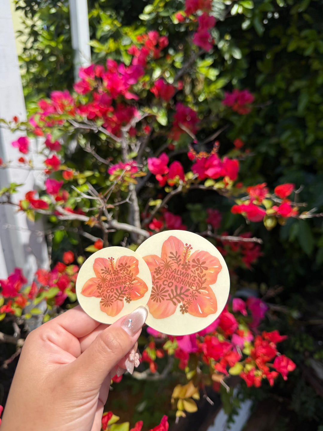 Hawaii – Always Sunshine Co.