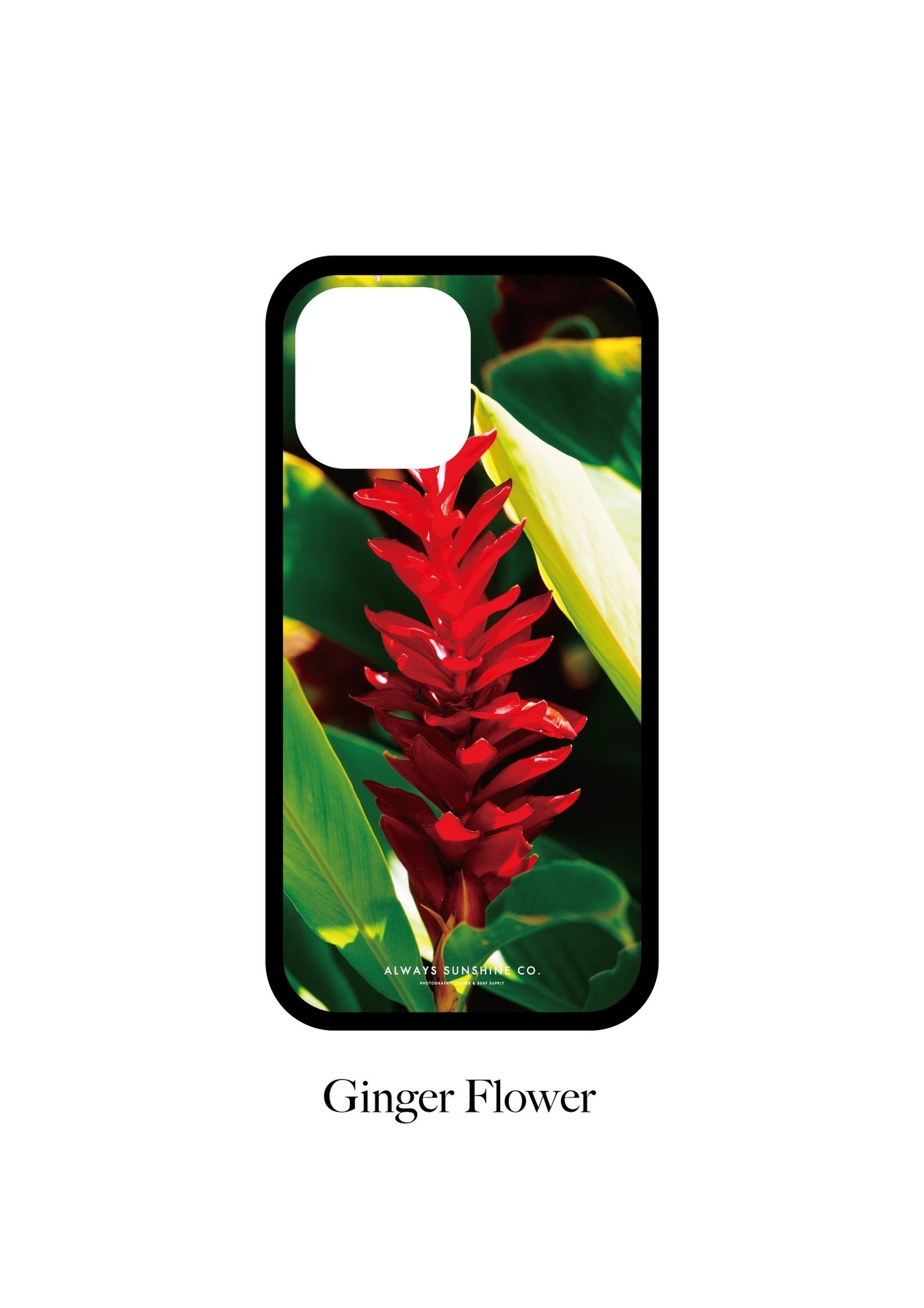 【PAGE 1】完全受注オーダー New Glass Photo iPhone Cover <HAWAII COLLECTION>