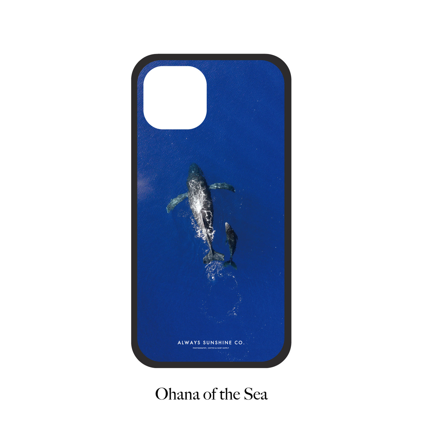 【PAGE 3】iPhone15 シリーズ　完全受注オーダー Glass Photo iPhone Cover -HAWAII-48種類