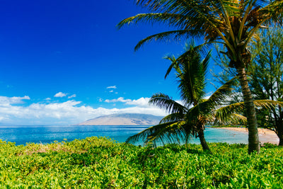 Kihei Beautiful Day / Kamaole, Maui,Hawaii