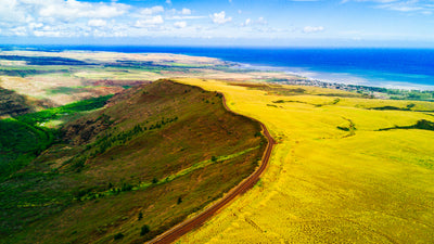 The Waimea Ridge / Kauai Island, Hawaii