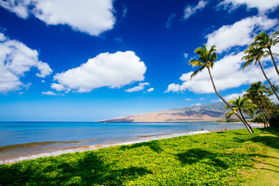 Kihei Sunny Day /Maui Island, Hawaii