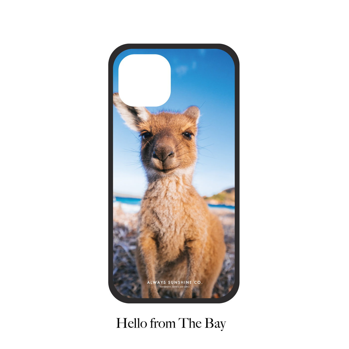 【PAGE 1】完全受注オーダー制 Glass iPhone Cover -AUSTRALIA-21種類-