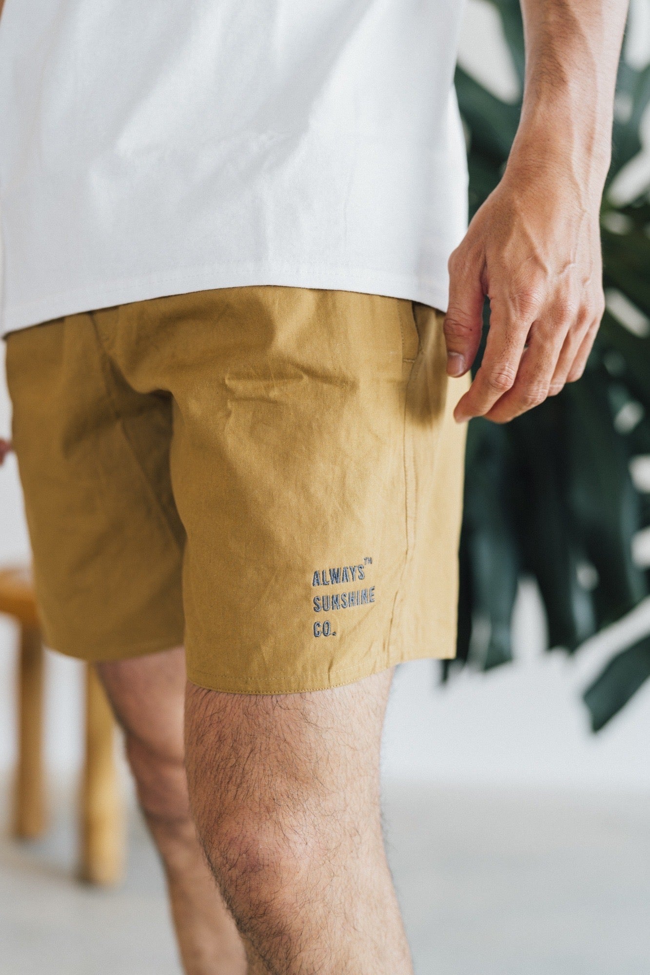 Cotton Surf Shorts / 5color
