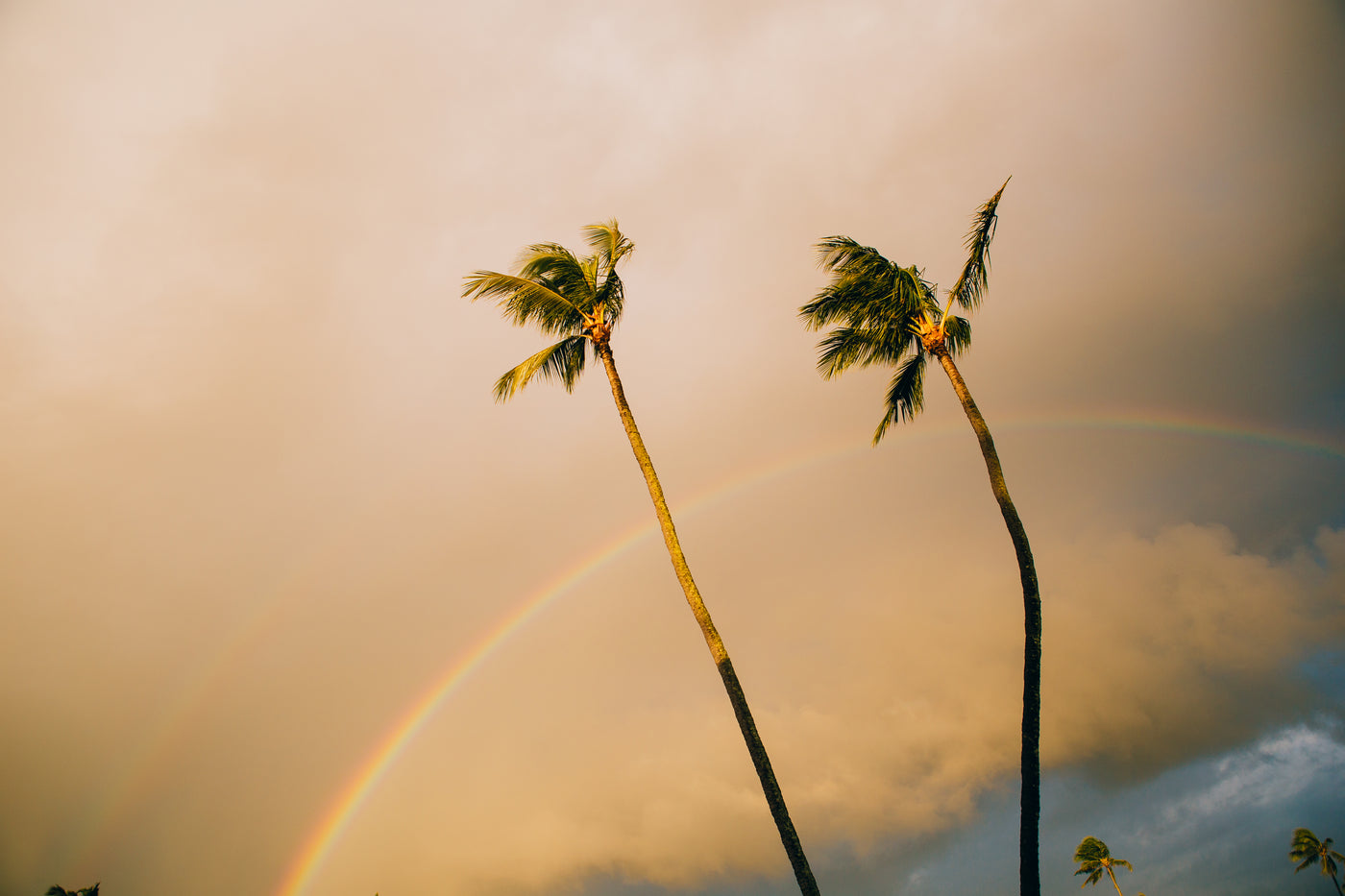 Kapaa Rainbow / Kauai Island, Hawaii