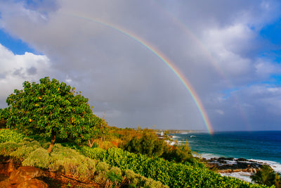 Koloa Rainbow / Kauai Island, Hawaii