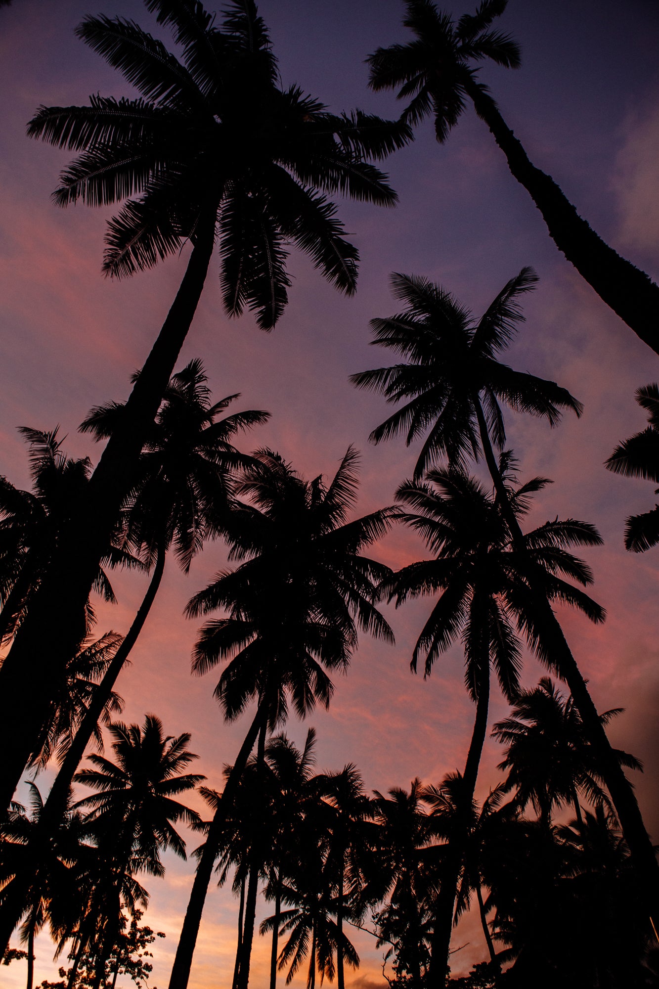 Sunset Dreaming / Bora Bora, Tahiti