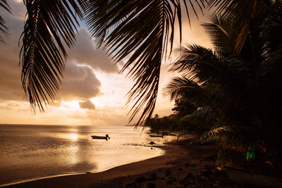 The Calmness in Paradise / Moorea, Tahiti
